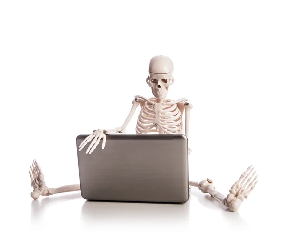 Squelette travaillant sur ordinateur portable — Photo