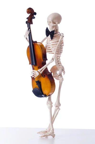 Skelett spielt Geige isoliert auf dem weißen — Stockfoto