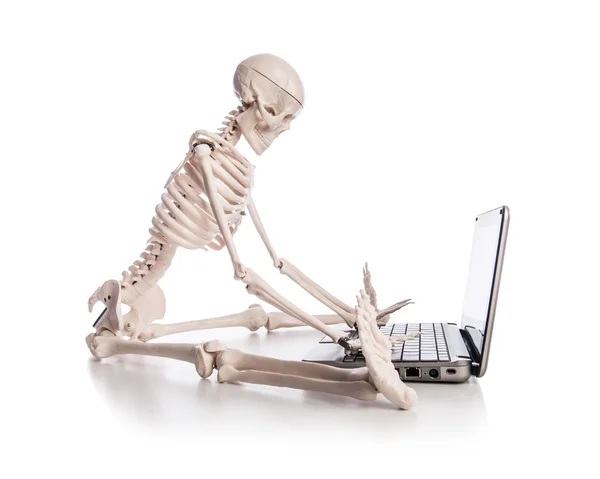 Skeleton working on laptop — Stock Photo, Image