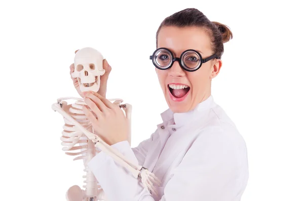 Dokter met skelet op wit — Stockfoto