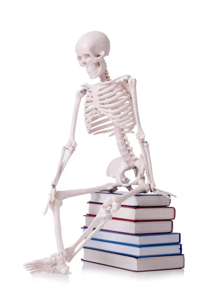 Skelett liest Bücher auf Weiß — Stockfoto
