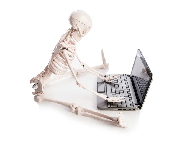 Skeleton working on laptop — Stock Photo, Image