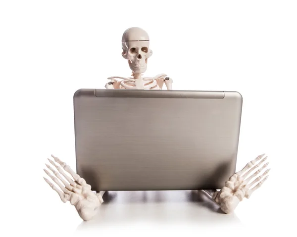 Skeleton working on laptop — Stock Photo, Image