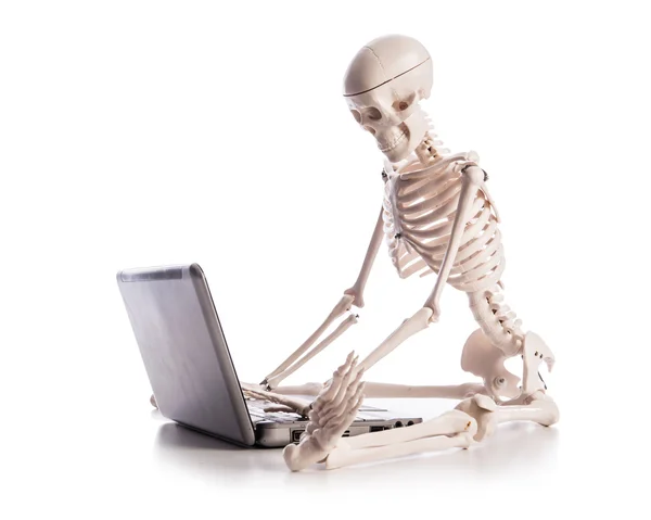 Esqueleto trabajando en el ordenador portátil — Foto de Stock