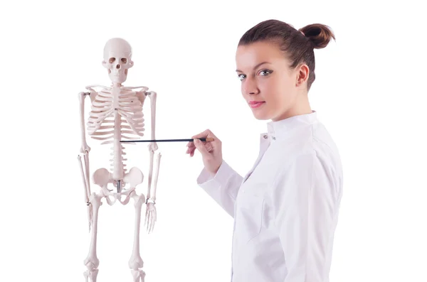 Doctor with skeleton on white — Stock Photo, Image