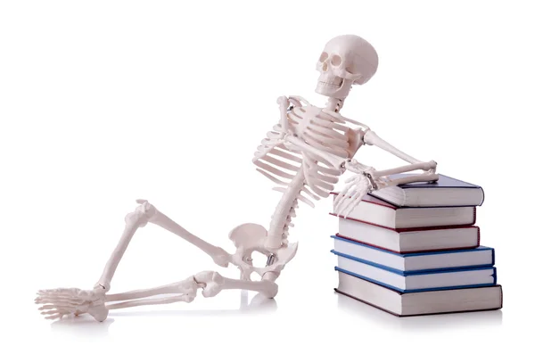 Esqueleto leyendo libros sobre blanco —  Fotos de Stock