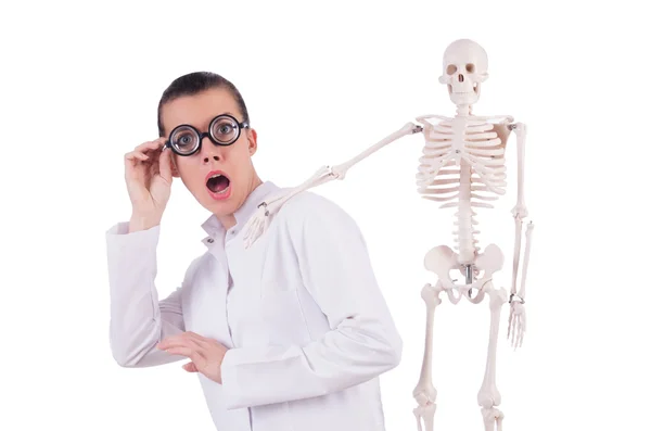 Доктор со скелетом на белом — стоковое фото