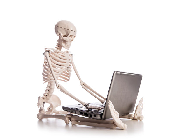 Скелет, работающий на ноутбуке
