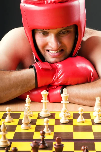 Boxer bégayant avec le jeu d'échecs — Photo