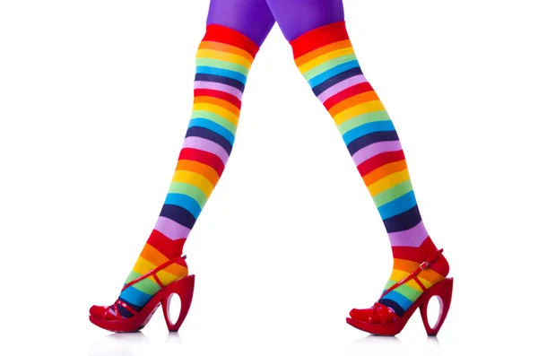 Жіночі ноги в барвистих панчохах на білому — стокове фото