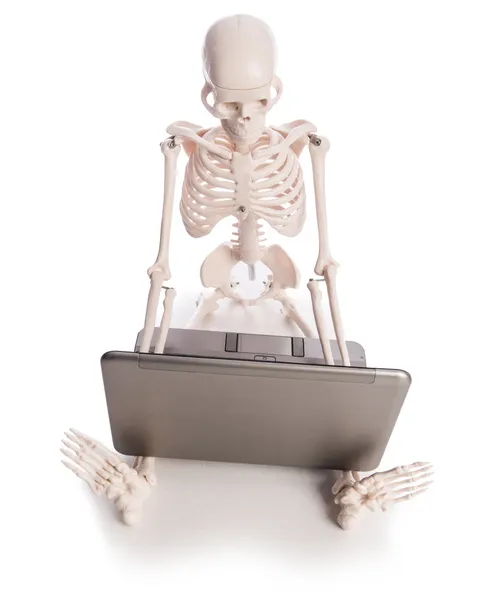 Skeleton working on laptop — Stock Photo, Image