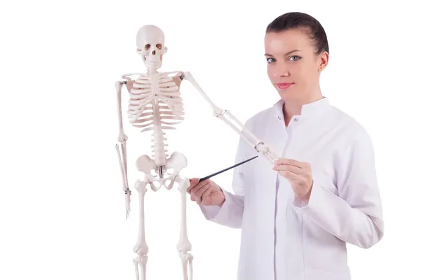 Doctor with skeleton on white — Stock Photo, Image