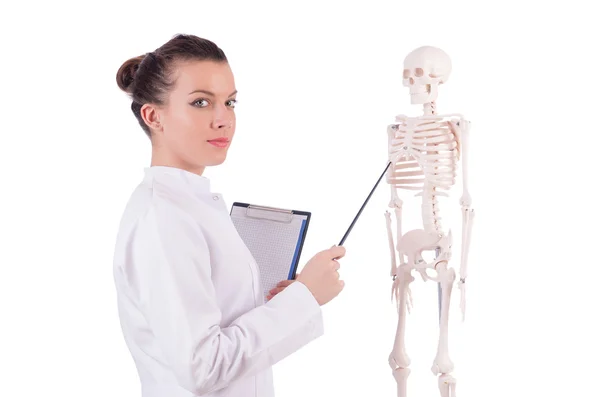 İskeleti beyaz olan doktor. — Stok fotoğraf