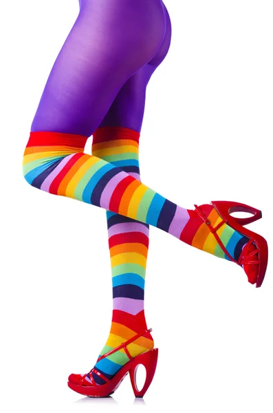 Woman legs in colourful stockings on white — Stock Photo, Image