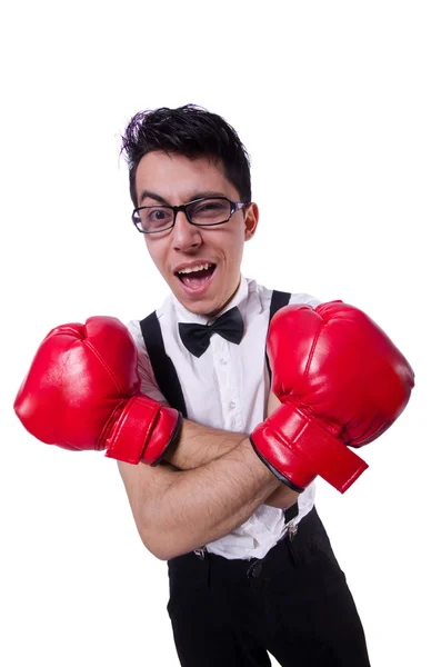 Funny boxer isolated on the white background — Stock Photo, Image