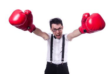 Beyaz arka planda izole edilmiş komik boksör