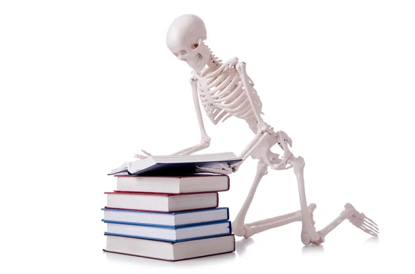 Skeleton reading books on white — Stock Photo, Image