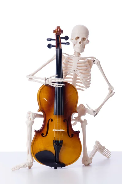 Скелет грає на скрипці ізольовано на білому — стокове фото