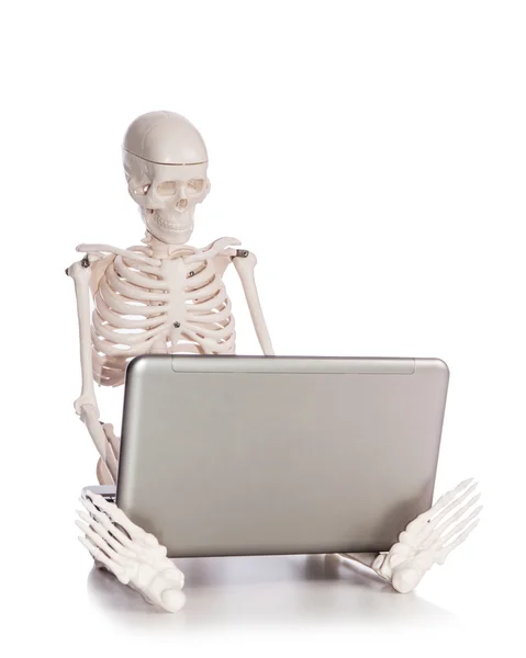 Skelet die op laptop werkt — Stockfoto