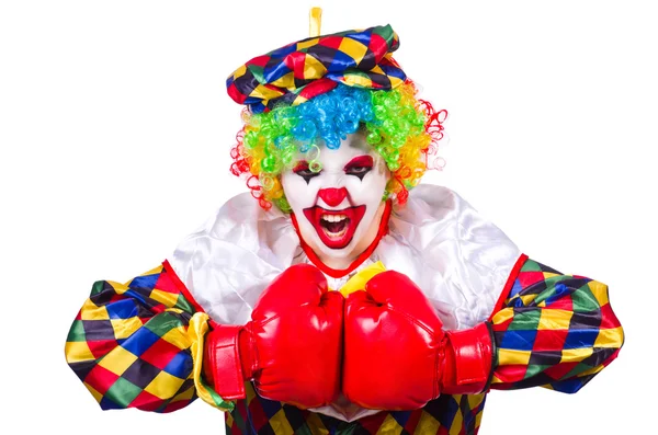 Lustiger Clown isoliert auf dem weißen — Stockfoto