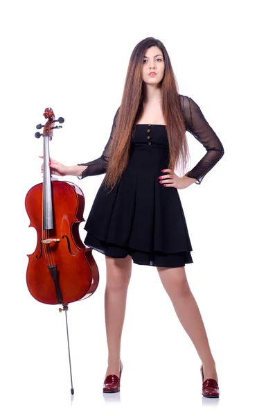 Young performer with violin on white — Stock Photo, Image