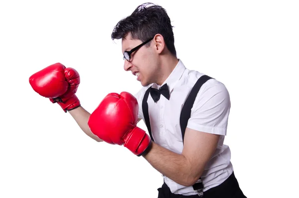 Grappige bokser geïsoleerd op de witte achtergrond — Stockfoto
