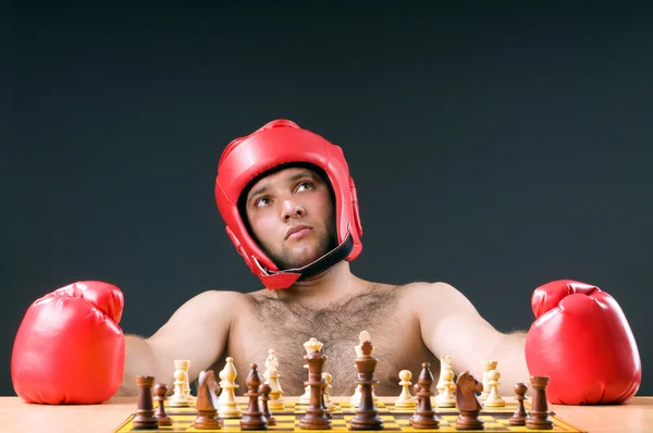 Boxer stuggling s šachy — Stock fotografie
