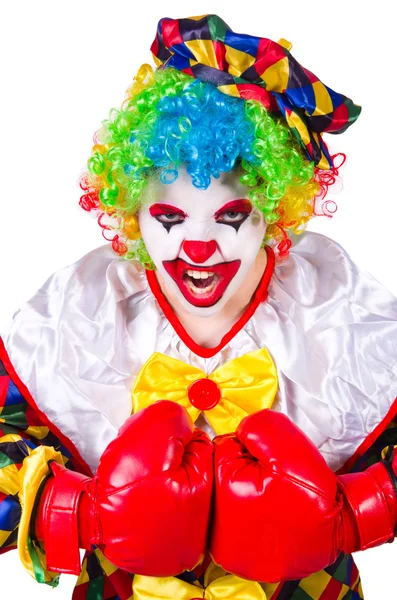 Grappige clown geïsoleerd op de witte — Stockfoto