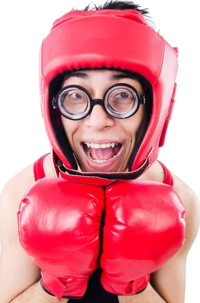 Boxer drôle isolé sur le fond blanc — Photo