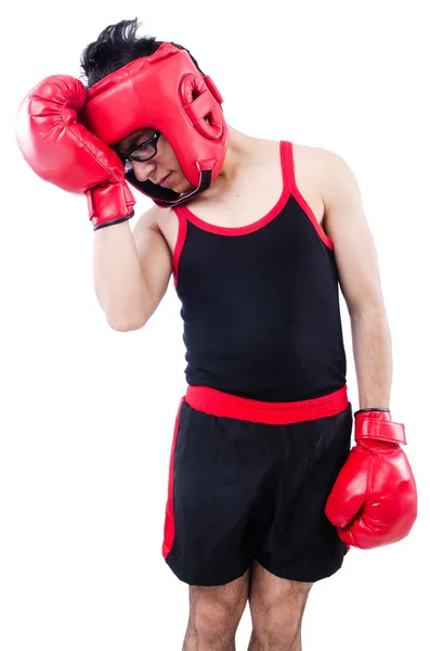 Смешной боксер изолирован на белом фоне — стоковое фото
