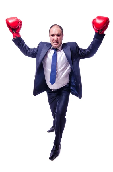 Young businessman boxer isolated on white — Stock Photo, Image