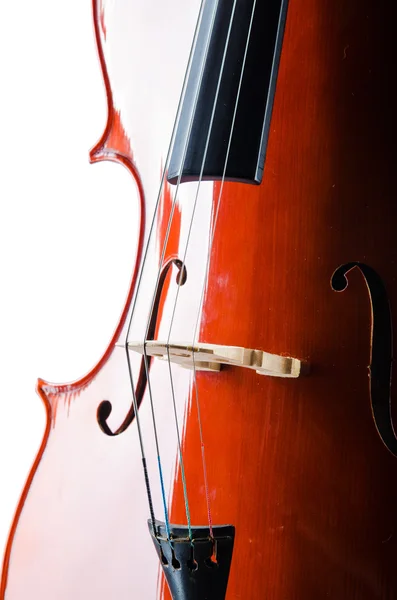 Violino isolado no fundo branco — Fotografia de Stock