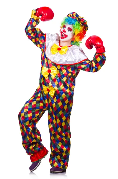 Lustiger Clown isoliert auf dem weißen — Stockfoto