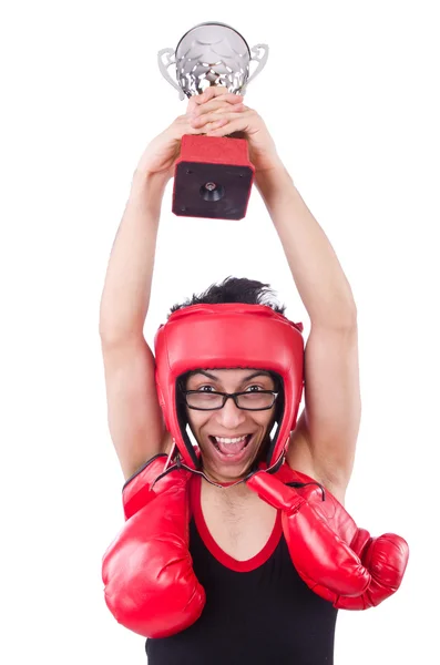 Boxer drôle isolé sur le fond blanc — Photo