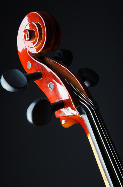 Скрипка на черном фоне
