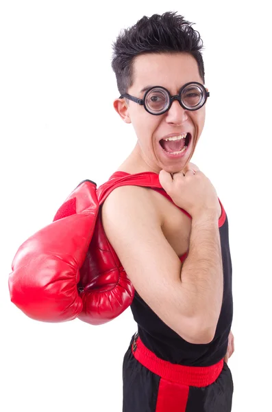 Funny boxer isolated on the white background — Stock Photo, Image