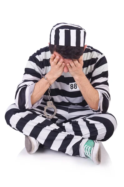 Grappige gevangene geïsoleerd op de witte — Stockfoto