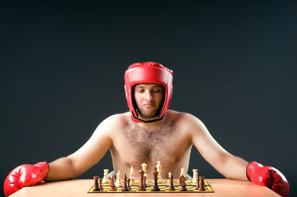 Boxer stuggling sakk játék — Stock Fotó