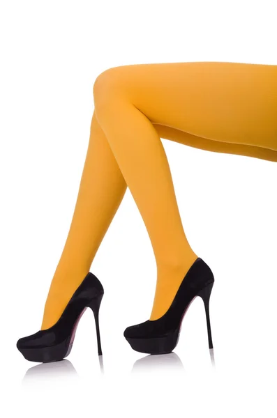 Žena nohy v dlouhých punčoch — Stock fotografie