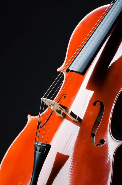 Violin on the black background — Stock Photo, Image