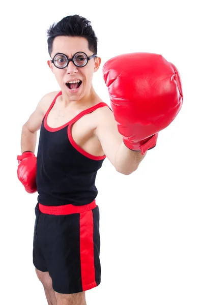 Grappige bokser geïsoleerd op de witte achtergrond — Stockfoto