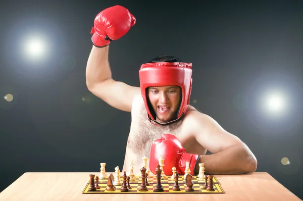 Boxer stuggling med schackspel — Stockfoto