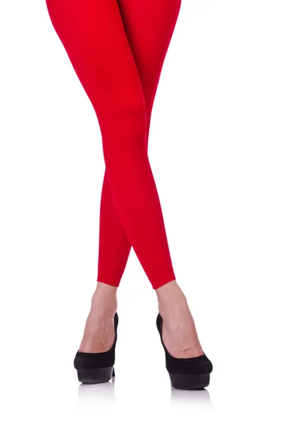Kvinna ben i långa strumpor — Stockfoto