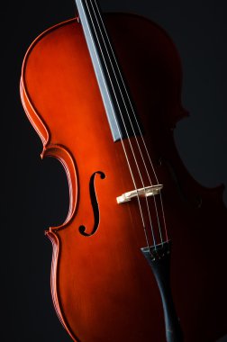 Siyah arka planda keman
