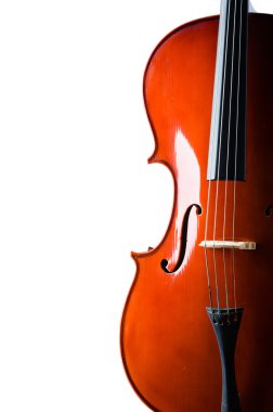Violin isolated on the white background clipart