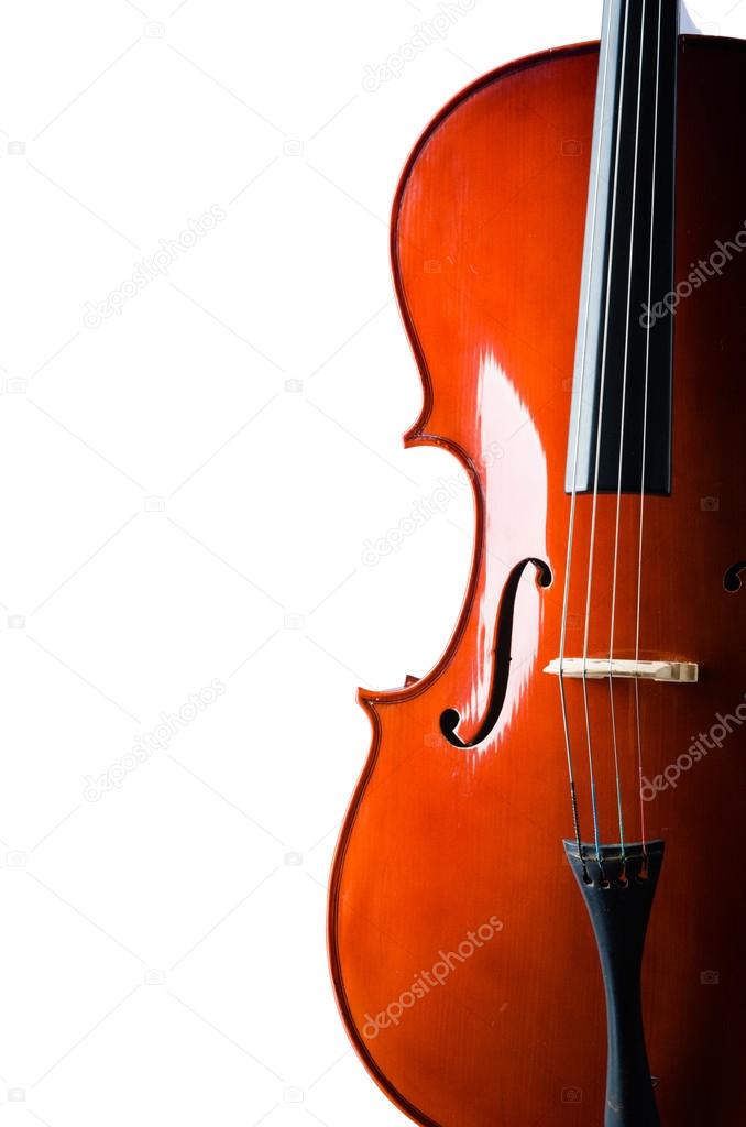 Violin isolated on the white background