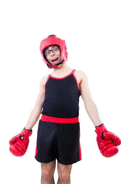 Boxer engraçado isolado no fundo branco — Fotografia de Stock
