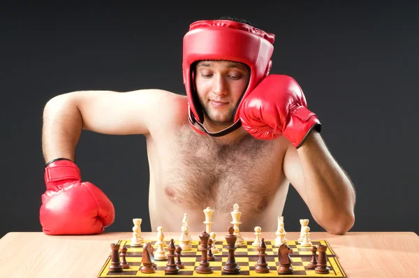 Boxer bégayant avec le jeu d'échecs — Photo