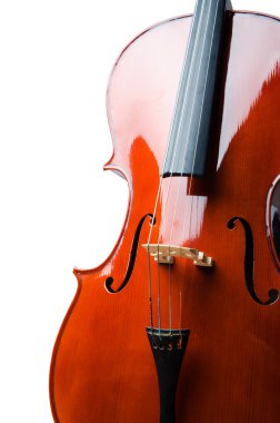 Violin isolated on the white background clipart