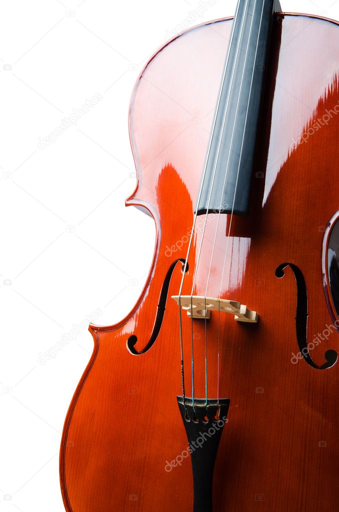 Violin isolated on the white background